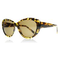 Lennox Hiranya Sunglasses Tortoiseshell 49mm