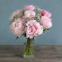 Letterbox British Peonies - flowers