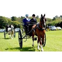 Learn to Drive a Horse and Carriage at Easter Hall Park