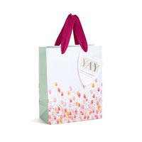 Let\'s Celebrate Watercolour Spot Small Gift Bag