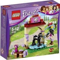 LEGO® Friends 41123 Foal\'s Washing Station