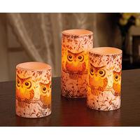 LED Wax Owl Candles (3), Wax