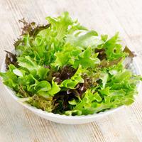 Lettuce \'Leaves Mixed\' (Seeds) - 1 packet (400 lettuce seeds)