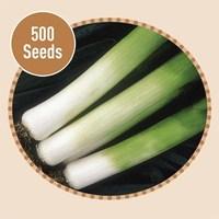 leek toledo 500 seeds