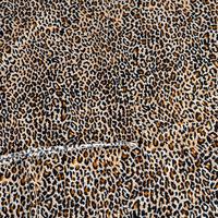 Leopard Print 93 Percent Polyester and 7 Percent Elastane 1.5m Fabric 405485