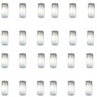 Le Parfait Clip Top Preserving Jar 2.0L, 2 Litre Clip Top Jar, 24 Pack