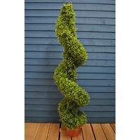 Leaf Effect Artificial Topiary Swirl Shaped Pot Plant (135cm) by Gardman
