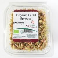 Lentil Sprouts (100g)