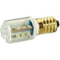 LED bulb E14 Warm white 24 Vdc, 24 Vac 14 lm Signal Construct MBRE140854