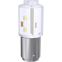 LED bulb BA15d Yellow 230 Vdc, 230 Vac 900 lm Signal Construct MBRD151618