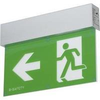 LED escape route lighting Wall surface-mount B-SAFETY BR 558 030