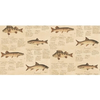 Lewis & Wood Wallpapers European Freshwater Fishes 1846, W42-62
