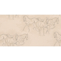 lewis amp wood wallpapers equus lw74109