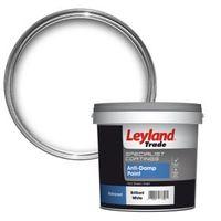 leyland trade white mid sheen anti damp paint 25l