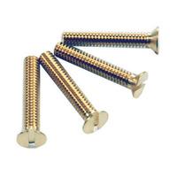 Lee Screws (pack 4) 1inch