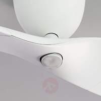 LED light kit for Wave ceiling fan
