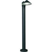 LED outdoor free standing light 12 W Cold white ECO-Light 11876 N3-800 GR LED-Design-Wegeleuchte CONE Anthracite