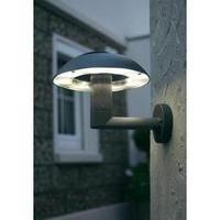 LED outdoor wall light 24 W Neutral white ECO-Light LED-Design Leuchte SPRIL 2251 M GR Anthracite