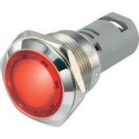 LED indicator light White 12 Vdc Conrad Components