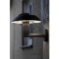 LED outdoor wall light 6 W Neutral white ECO-Light LED-Design Leuchte SPRIL 2251 S GR Anthracite