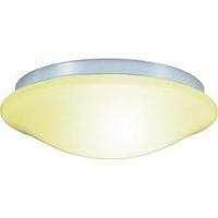 LED ceiling light 10 W Warm white Renkforce SDDL102S White