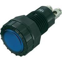 LED indicator light Blue 12 Vdc SCI