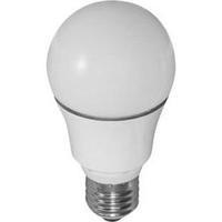LED (monochrome) Müller Licht 230 V E27 10 W = 60 W Warm white EEC: A+ Arbitrary (Ø x L) 60 mm x 110 mm 2 pc(s)