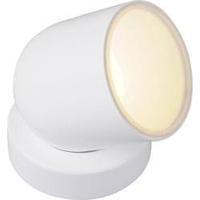 LED decorative light LED 8.5 W JEDI Lighting Tulp Medium JE720109 White, Nickel (brushed)