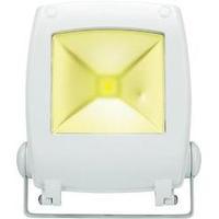 LED outdoor floodlight 10 W Cold white Renkforce SPC10H2 KW White