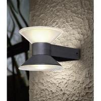 LED outdoor wall light 6 W Neutral white ECO-Light Design Leuchte CONE 1877 S GR Anthracite