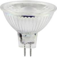 LED (monochrome) Müller Licht 12 V GU5.3 5 W = 31 W Warm white EEC: A+ Reflector (Ø x L) 45 mm x 51 mm 1 pc(s)