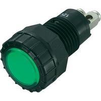 LED indicator light Green 12 Vdc SCI