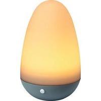 LED decorative light Egg LED 0.7 W Renkforce Egg shape OVORG-02 Anthracite, White