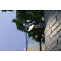 LED outdoor floodlight 11 W Cold white ECO-Light Front 6229 GR Anthracite