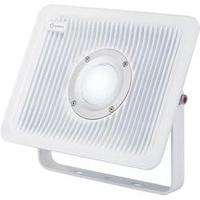 LED outdoor floodlight 50 W Cold white Renkforce 1361117 Grey