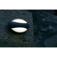 LED outdoor wall light 3 W Neutral white ECO-Light LED-Design Leuchte Eyes 1861 GR Anthracite