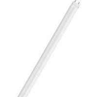 LED (monochrome) OSRAM 230 V G13 8.9 W = 20 W Warm white EEC: A Tubular (Ø x L) 27.5 mm x 600 mm 1 pc(s)