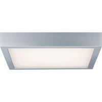 LED ceiling light Warm white Paulmann 70386 Chrome (matt), White