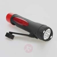 LED torch with crank handle