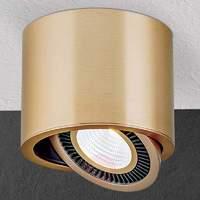 LED surface-mounted ceiling spotlight Sofya, gold