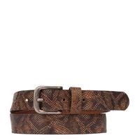 Legend-Belts - Belt 30274 - Brown