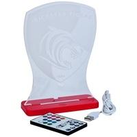 Leicester Tigers USB light
