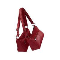 Leather Handbags (1 + 1 FREE), Red and Red, Leather