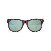 Levis Wayfarer Style Sunglasses