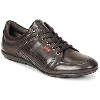 levis toulon mens casual shoes in brown