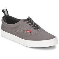 Levis COMMUTER LOW LACE men\'s Shoes (Trainers) in grey
