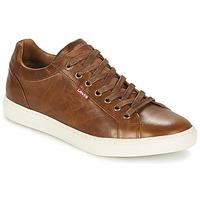 levis perris derby mens shoes trainers in brown