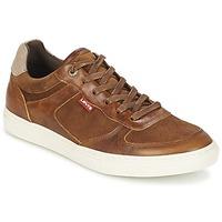 levis perris oxford mens shoes trainers in brown