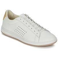 Le Coq Sportif ARTHUR ASHE RAFFIA women\'s Shoes (Trainers) in white
