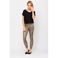 Leopard Print Wet Look Leggings